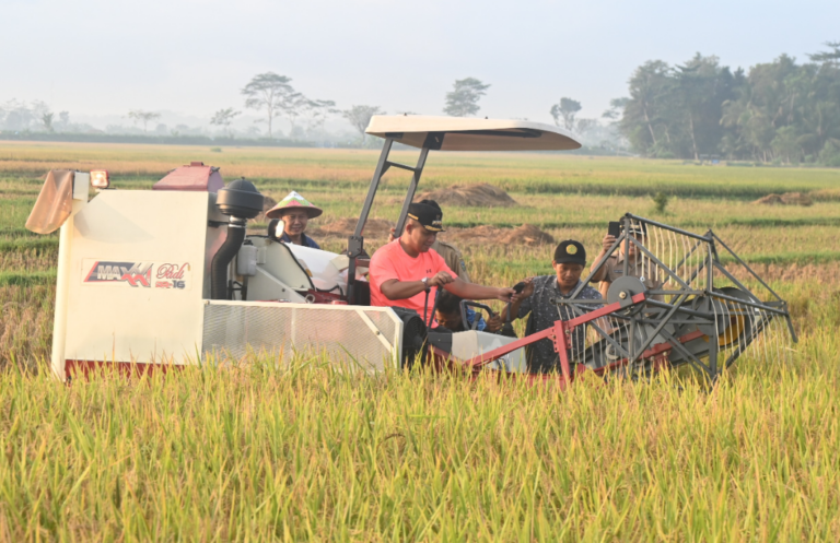 Kebumen Kembangkan Corporate Farming di Delapan Kecamatan