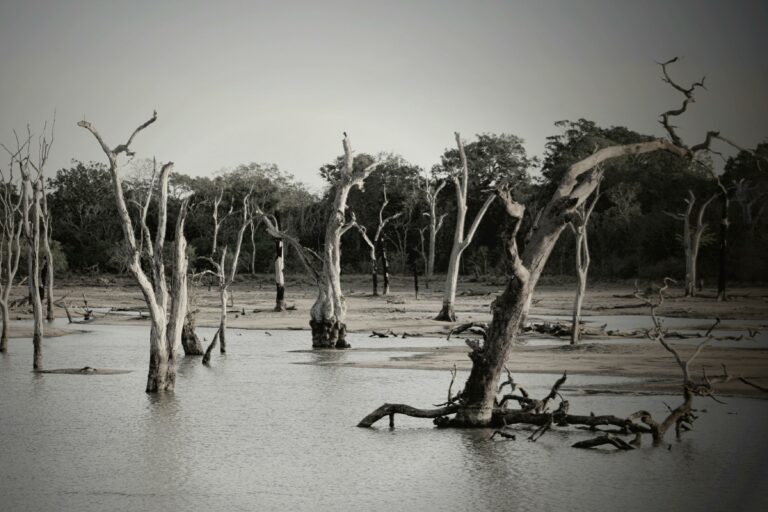 banjir mematikan