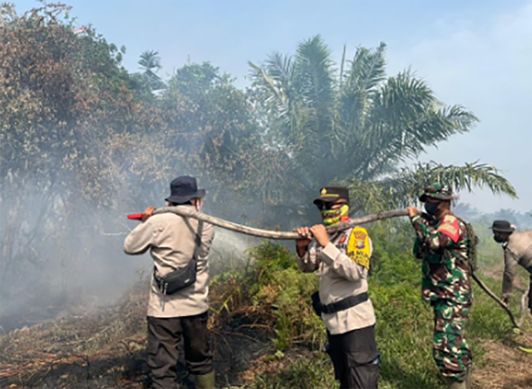 Rokan Hilir Babak-belur Dihajar Karhutla, Ratusan Orang Berjuang Padamkan Api