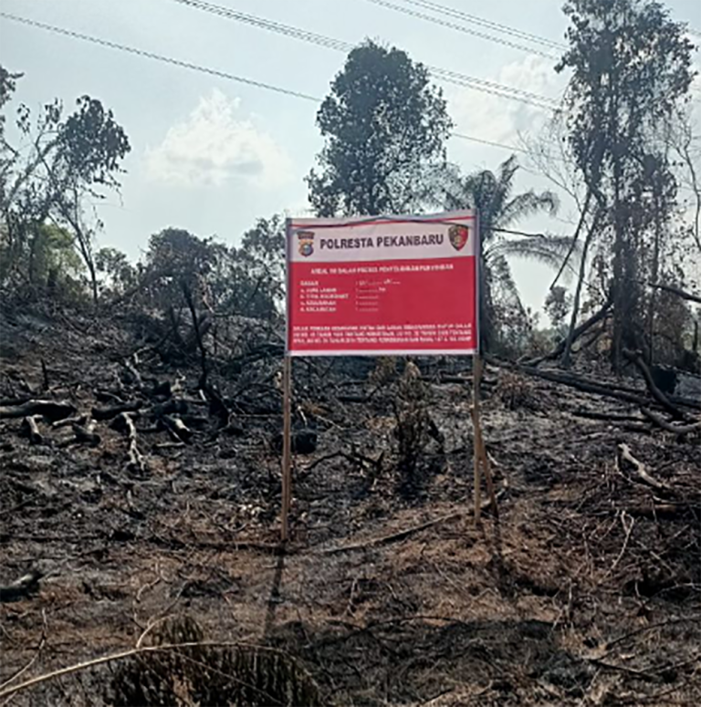 Bakar Lahan Milik PT Pertamina Hulu Rokan, Petani Sayur Ditangkap