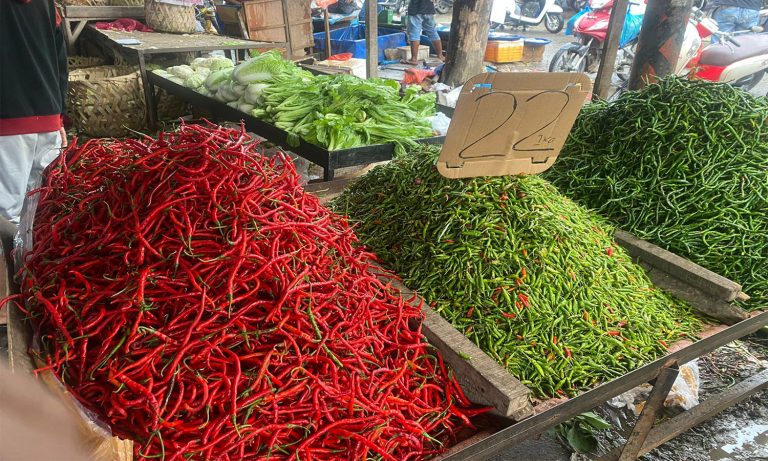 Supply Diperkirakan Naik, Harga Cabai Merah Berpeluang Turun