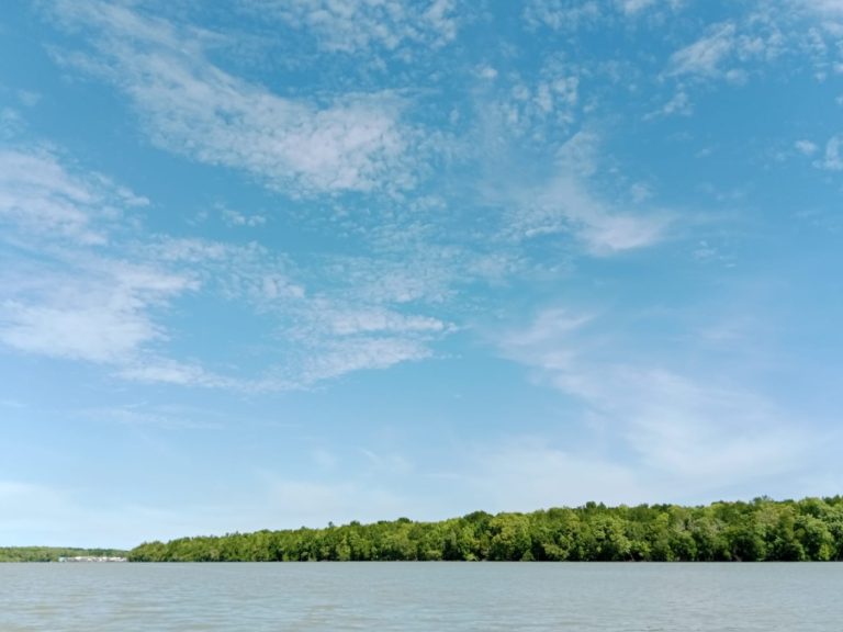 Pulau Kuala Besar Langkat, Potensi Wisata Mangrove Baru Butuh Sentuhan Pemerintah