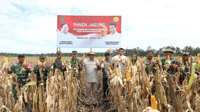 Kalimantan Tak Subur, Prabowo Akan Alihkan Food Estate ke Papua