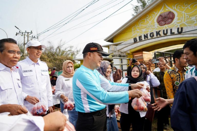 Harga Tomat Anjlok, KAGAMA Bengkulu Salurkan 3 Ton Tomat Gratis ke Warga